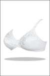Shooting Star Embroidered Cotton Bra
