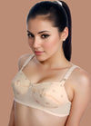 (Pack of 2) Lavender - Cotton Padded Non Wired Full Coverage Bra